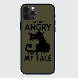 Чехол для iPhone 12 Pro Max Я не сержусь - кот, цвет: 3D-черный