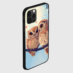 Чехол для iPhone 12 Pro Max Влюбленные совы 14 февраля, цвет: 3D-черный — фото 2