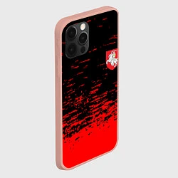 Чехол для iPhone 12 Pro Max Герб Белоруссии краски красные, цвет: 3D-светло-розовый — фото 2