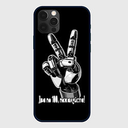 Чехол для iPhone 12 Pro Max Два по 100 пожалуйста, цвет: 3D-черный