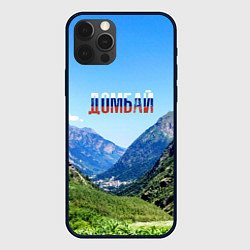 Чехол для iPhone 12 Pro Max Домбай в цветах флага России, цвет: 3D-черный