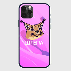Чехол для iPhone 12 Pro Max Нарисованный Шлепа, цвет: 3D-черный
