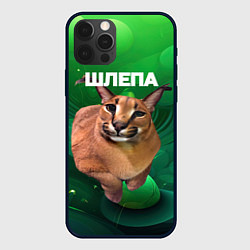 Чехол для iPhone 12 Pro Max Довольный кот Шлепа, цвет: 3D-черный
