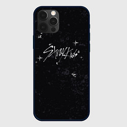 Чехол для iPhone 12 Pro Max Stray Kids жидкий металл, цвет: 3D-черный