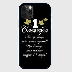 Чехол для iPhone 12 Pro Max 1 сентября - хочется перемен, цвет: 3D-черный