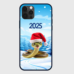 Чехол для iPhone 12 Pro Max Змейка в новогодней шапке 2025, цвет: 3D-черный