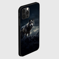 Чехол для iPhone 12 Pro Max Волк в горах, цвет: 3D-черный — фото 2