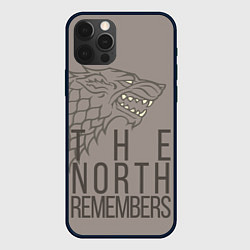 Чехол для iPhone 12 Pro Max The North Remembers game of thrones, цвет: 3D-черный