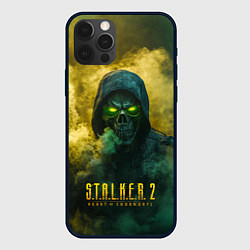 Чехол для iPhone 12 Pro Max Stalker 2 череп, цвет: 3D-черный