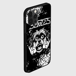 Чехол для iPhone 12 Pro Max Eagles рок пес, цвет: 3D-черный — фото 2