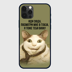 Чехол для iPhone 12 Pro Max Мемный кот бу испугался, цвет: 3D-черный
