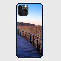 Чехол для iPhone 12 Pro Max Камышовые плавни на Финском заливе, цвет: 3D-черный