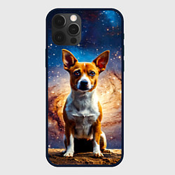Чехол для iPhone 12 Pro Max Басенджи в космосе, цвет: 3D-черный