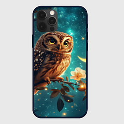 Чехол для iPhone 12 Pro Max Сова на фоне ночного неба, цвет: 3D-черный