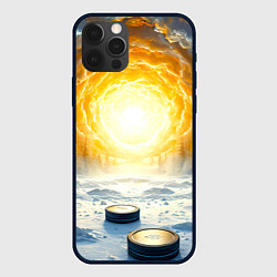 Чехол для iPhone 12 Pro Max Шайбы в лесу, цвет: 3D-черный