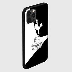 Чехол для iPhone 12 Pro Max Тоттенхэм спорт геометрия, цвет: 3D-черный — фото 2