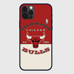 Чехол для iPhone 12 Pro Max NBA Bulls Vintage, цвет: 3D-черный