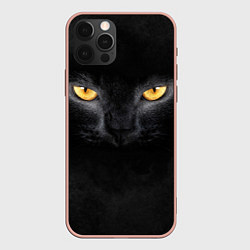Чехол для iPhone 12 Pro Max Черная кошка, цвет: 3D-светло-розовый
