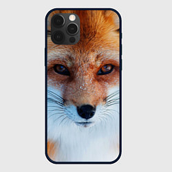 Чехол для iPhone 12 Pro Max Взгляд лисы, цвет: 3D-черный