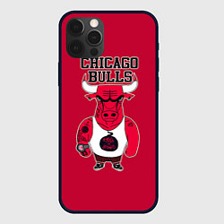 Чехол iPhone 12 Pro Max Chicago bulls