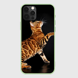 Чехол для iPhone 12 Pro Max Бенгальская кошка, цвет: 3D-салатовый