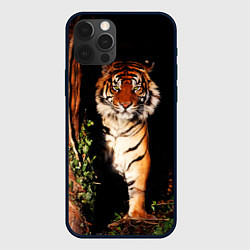 Чехол для iPhone 12 Pro Тигр выглядывает из темноты - большая картинка, цвет: 3D-черный