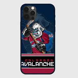 Чехол для iPhone 12 Pro Colorado Avalanche, цвет: 3D-черный