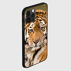 Чехол для iPhone 12 Pro Милый тигр, цвет: 3D-черный — фото 2