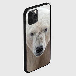 Чехол для iPhone 12 Pro Белый медведь, цвет: 3D-черный — фото 2