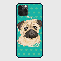 Чехол iPhone 12 Pro Pug Mops