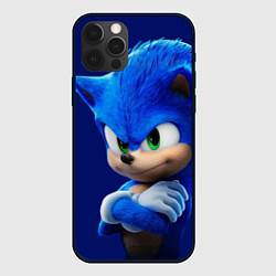 Чехол для iPhone 12 Pro SONIC, цвет: 3D-черный