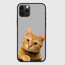 Чехол для iPhone 12 Pro Рыжий котик, цвет: 3D-черный