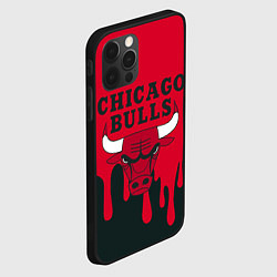 Чехол для iPhone 12 Pro Chicago Bulls, цвет: 3D-черный — фото 2