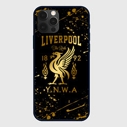 Чехол iPhone 12 Pro LIVERPOOL ЛИВЕРПУЛЬ