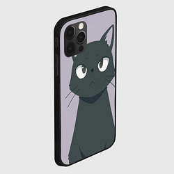 Чехол для iPhone 12 Pro Чёрный кот, цвет: 3D-черный — фото 2