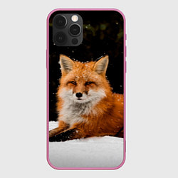 Чехол для iPhone 12 Pro Лиса и снег, цвет: 3D-малиновый