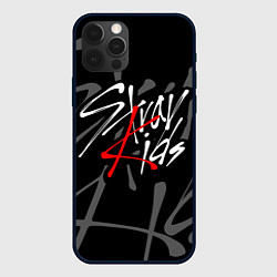 Чехол для iPhone 12 Pro STRAY KIDS, цвет: 3D-черный