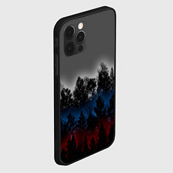 Чехол для iPhone 12 Pro Флаг из леса, цвет: 3D-черный — фото 2