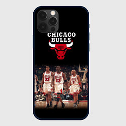 Чехол для iPhone 12 Pro CHICAGO BULLS 3, цвет: 3D-черный