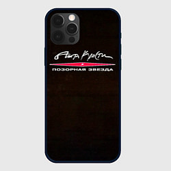 Чехол для iPhone 12 Pro Агата Кристи ПОЗОРНАЯ ЗВЕЗДА, цвет: 3D-черный