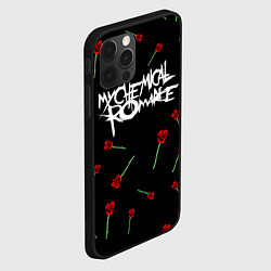 Чехол для iPhone 12 Pro MY CHEMICAL ROMANCE РОЗЫ MCR ROSES, цвет: 3D-черный — фото 2