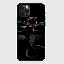 Чехол для iPhone 12 Pro ЗМЕЯ НА КАМНЕ НА ЧЕРНОМ ФОНЕ, цвет: 3D-черный