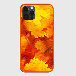 Чехол для iPhone 12 Pro Желтые-листья, цвет: 3D-красный