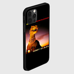 Чехол для iPhone 12 Pro DVD Moment Of Glory - Scorpions feat Berliner Phil, цвет: 3D-черный — фото 2
