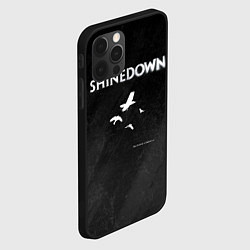 Чехол для iPhone 12 Pro The Sound of Madness Shinedown, цвет: 3D-черный — фото 2
