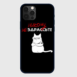 Чехол для iPhone 12 Pro Неприветливый кот, цвет: 3D-черный
