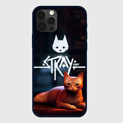 Чехол для iPhone 12 Pro Stray: Бродячий кот, цвет: 3D-черный
