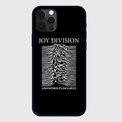 Чехол iPhone 12 Pro Joy Division - unknown pleasures