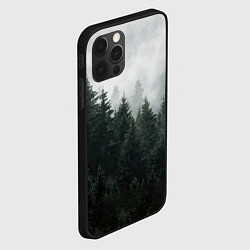 Чехол для iPhone 12 Pro Туманный хвойный лес, цвет: 3D-черный — фото 2