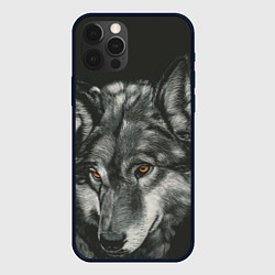 Чехол для iPhone 12 Pro Серый мудрый волк, цвет: 3D-черный